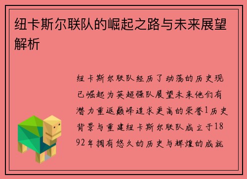 纽卡斯尔联队的崛起之路与未来展望解析