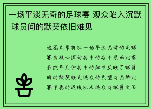 一场平淡无奇的足球赛 观众陷入沉默 球员间的默契依旧难见