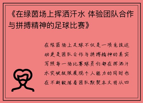 《在绿茵场上挥洒汗水 体验团队合作与拼搏精神的足球比赛》