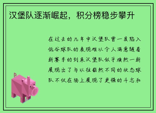 汉堡队逐渐崛起，积分榜稳步攀升