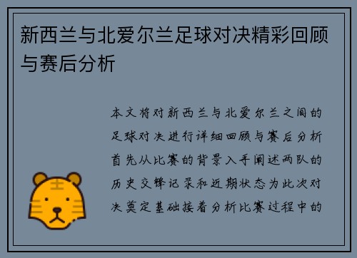 新西兰与北爱尔兰足球对决精彩回顾与赛后分析