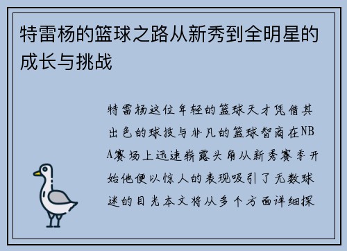特雷杨的篮球之路从新秀到全明星的成长与挑战